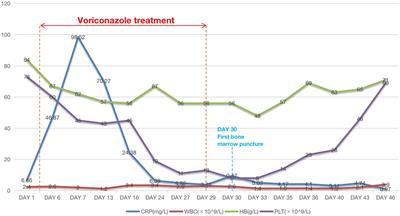 Frontiers | myelodysplastic syndrome-like response after voriconazole